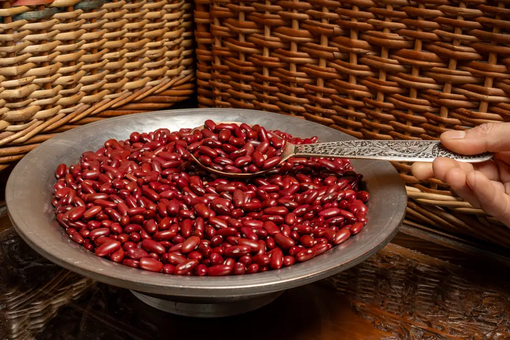 Jammu Red Rajma