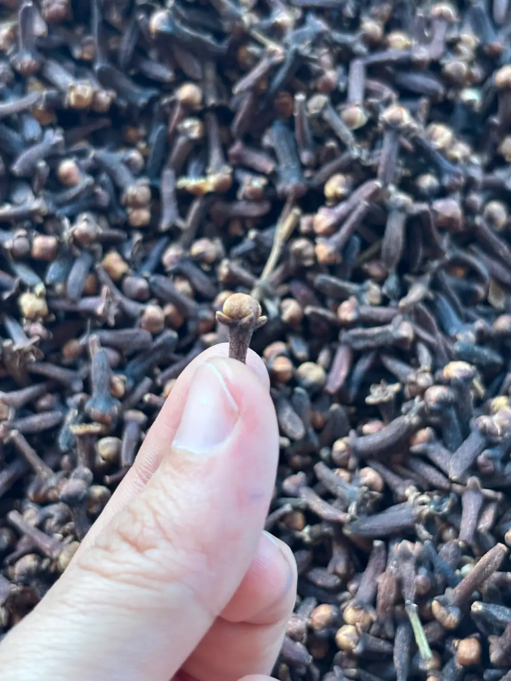 Whole Cloves 