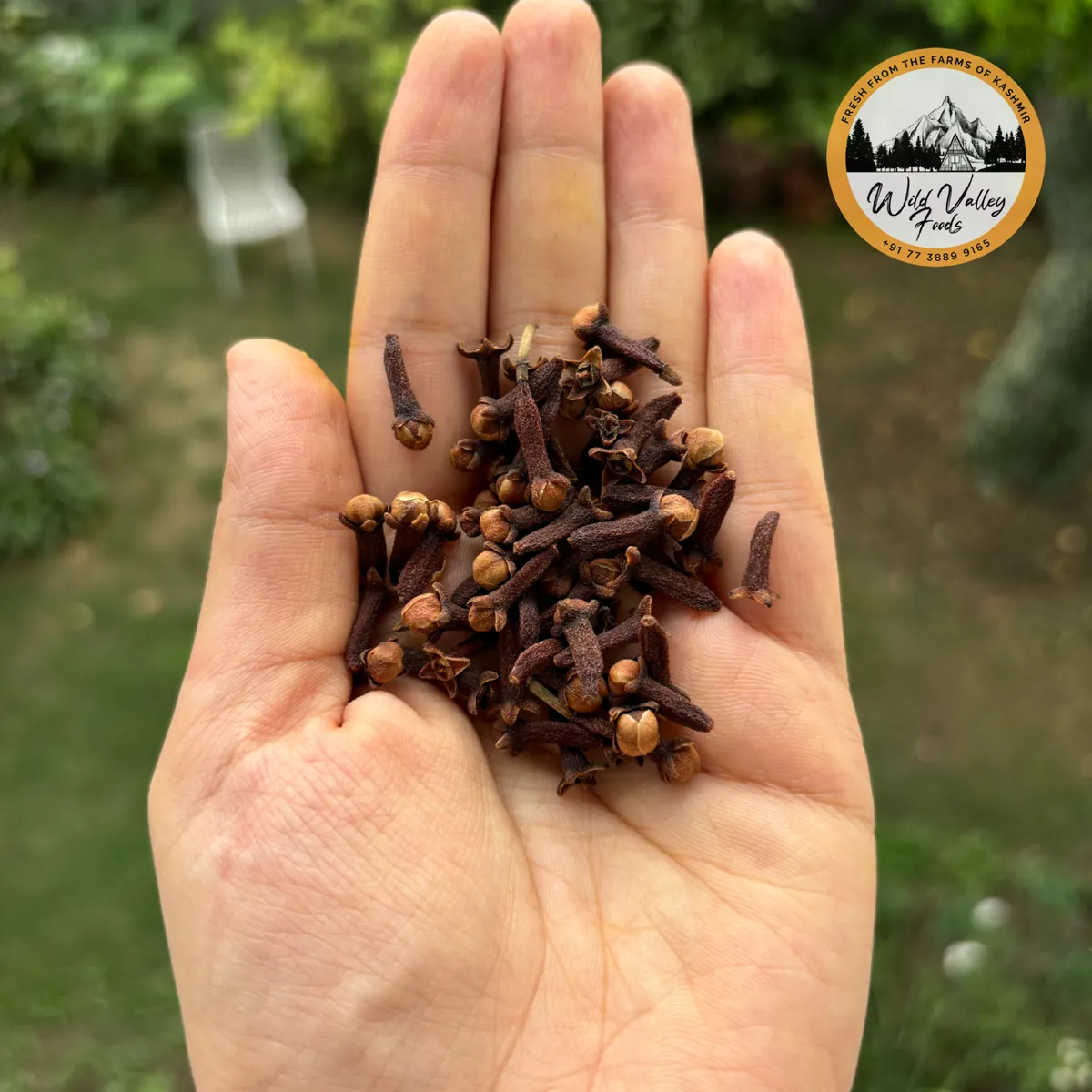Cloves (Export Quality)