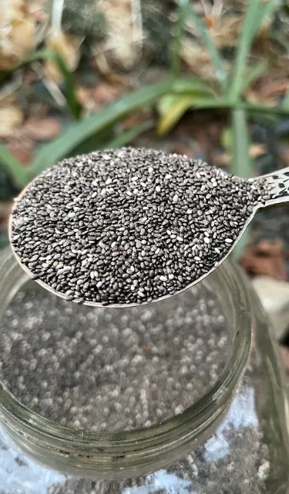Raw Chia Seeds