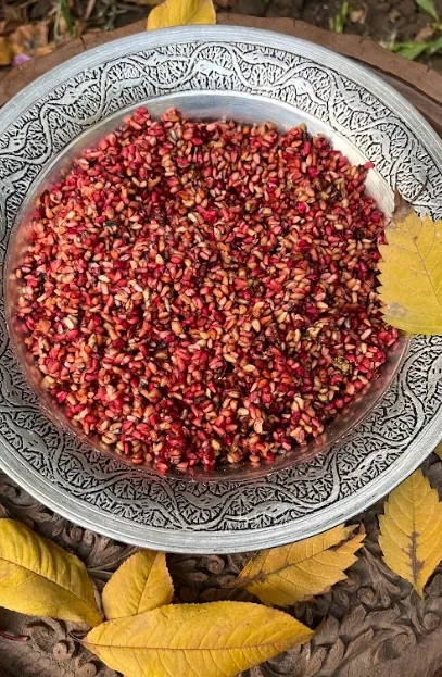 Kashmiri Anardana