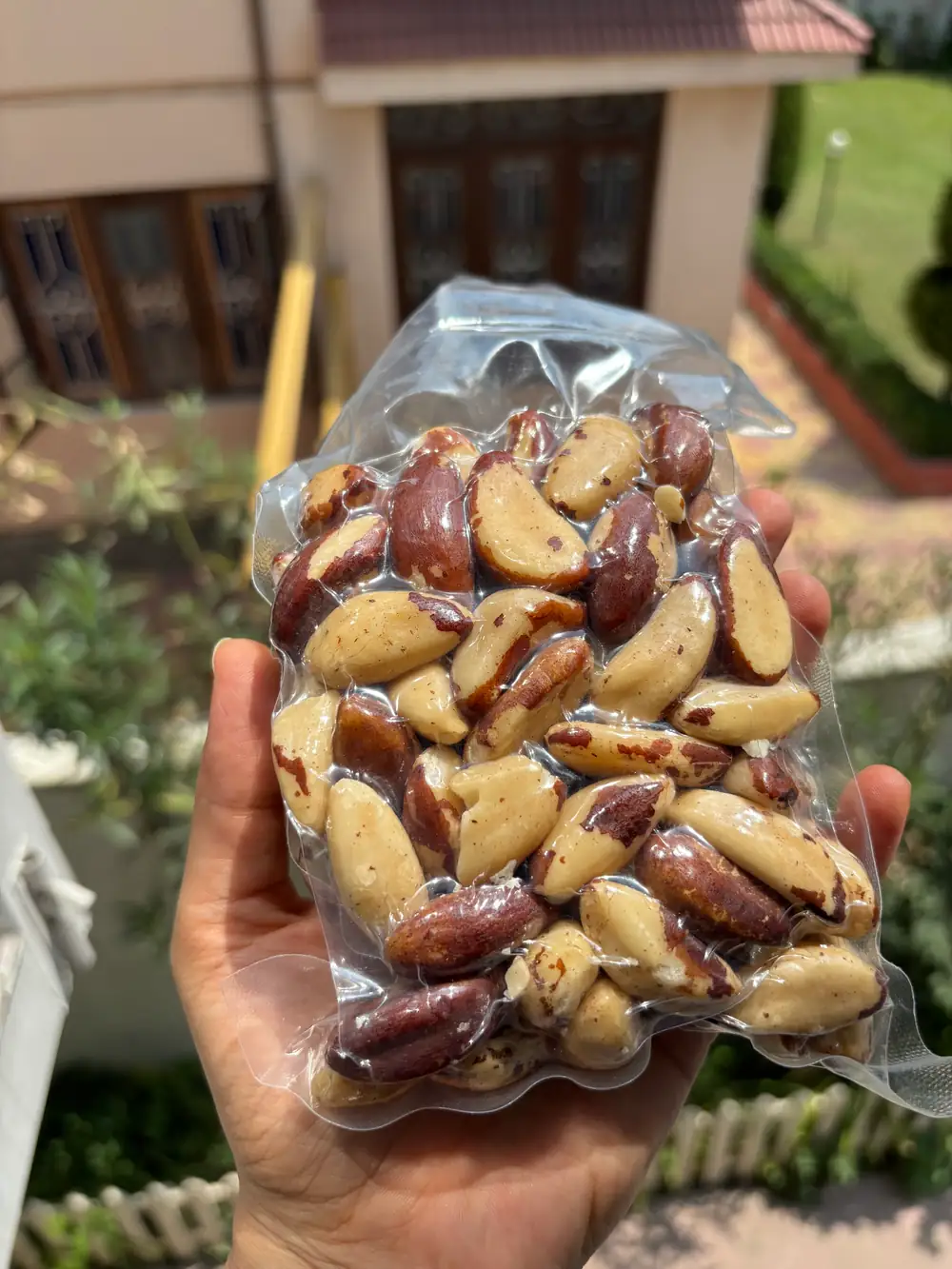 Brazil Nuts