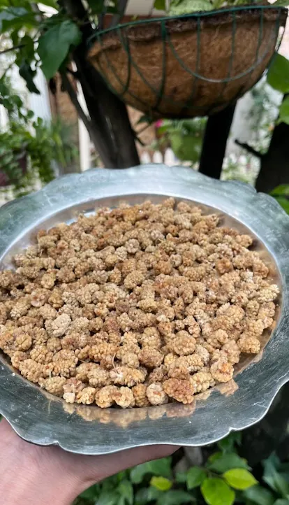 Sun Dried Mulberries