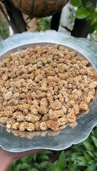 Sun Dried Mulberries