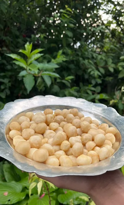 Sun Dried Mulberries