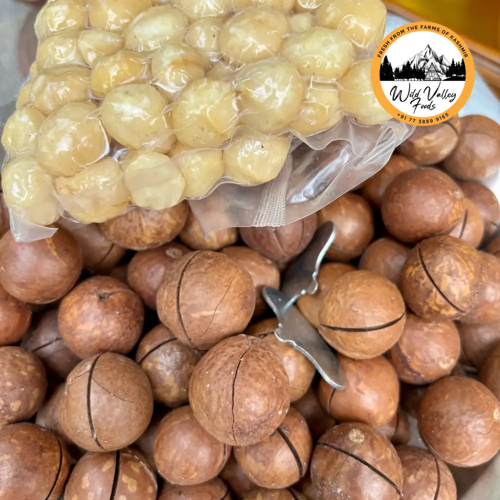 Macadamia Nuts (In-Shell)