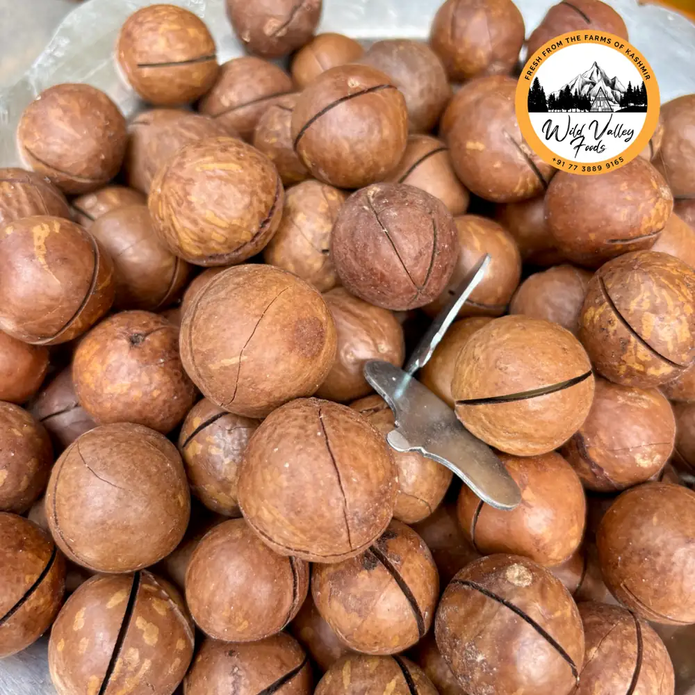 Macadamia Nuts (In-Shell)