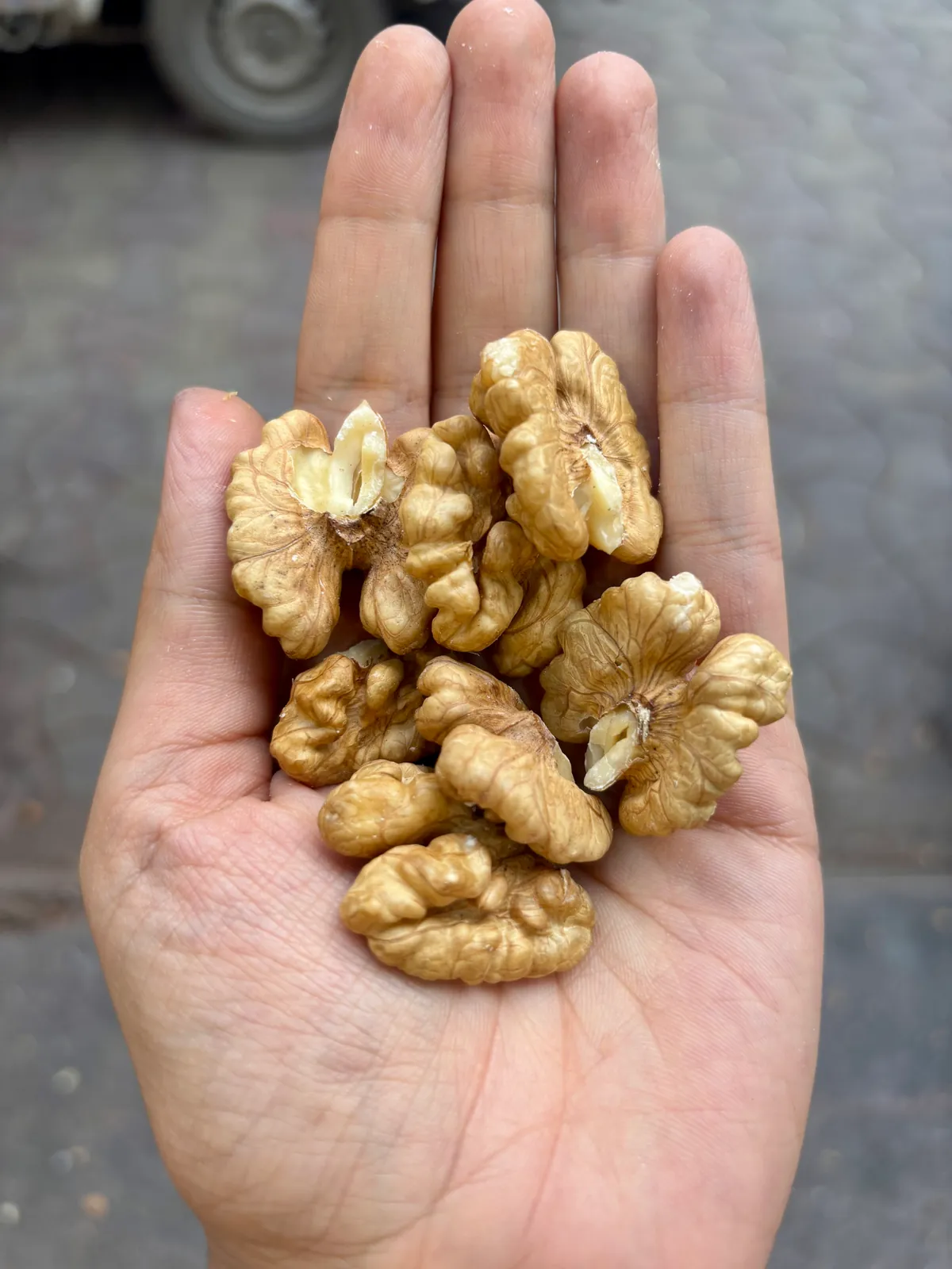 Kashmiri Walnuts Single Tree