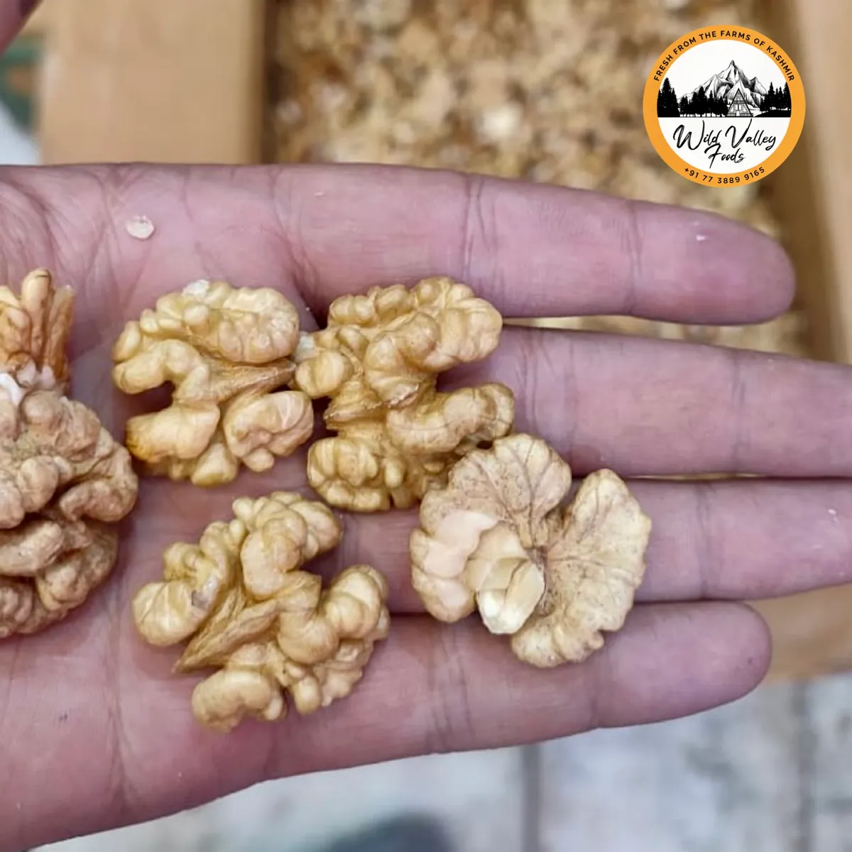 Kashmiri Walnuts Single Tree
