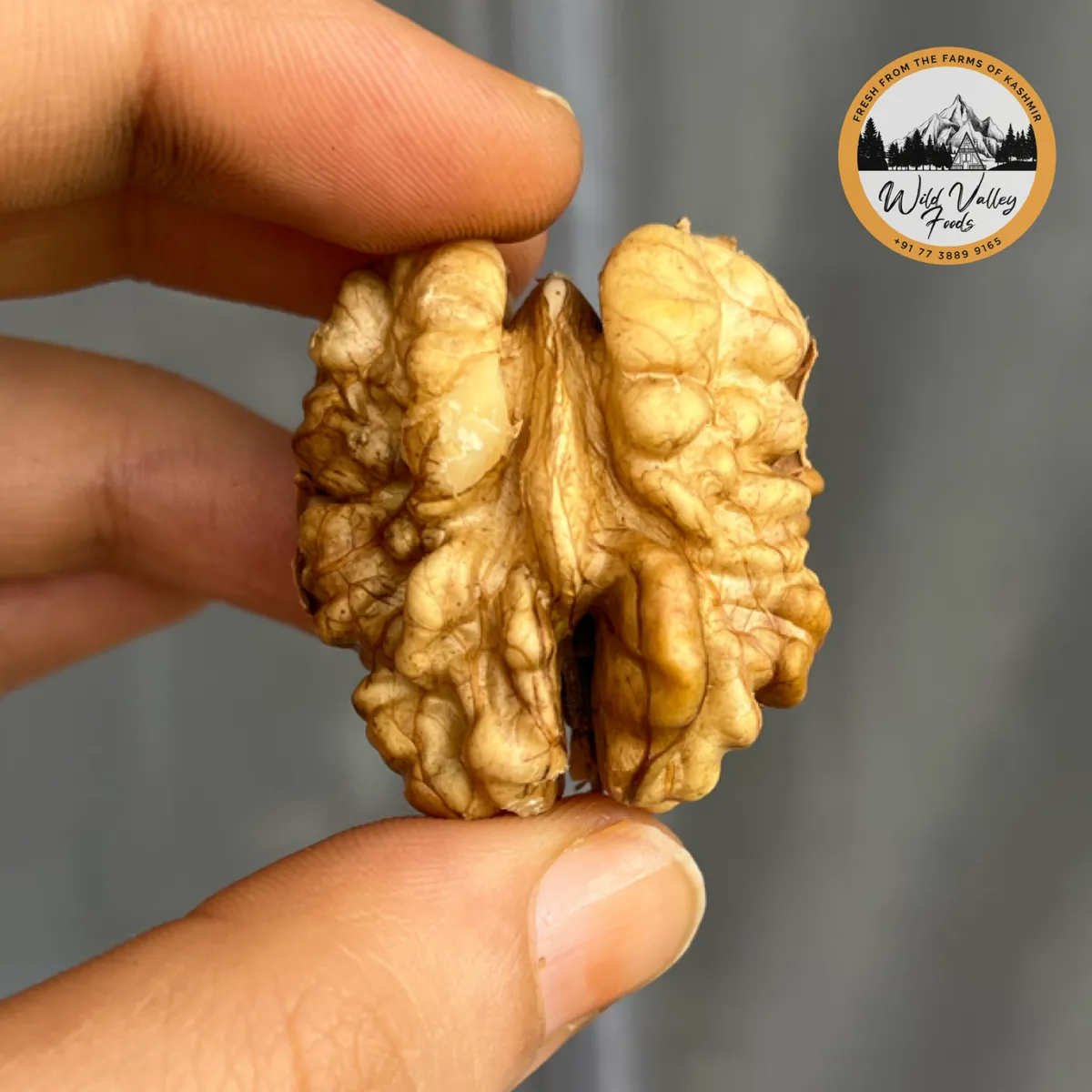 Kashmiri Walnuts Single Tree
