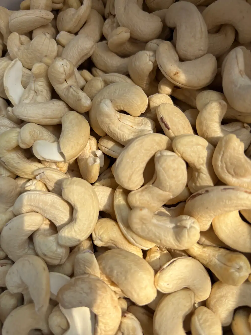 Premium Cashew Nuts