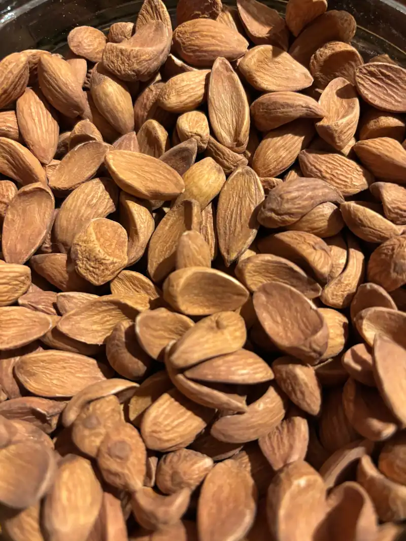 Kashmiri Mamra Almonds