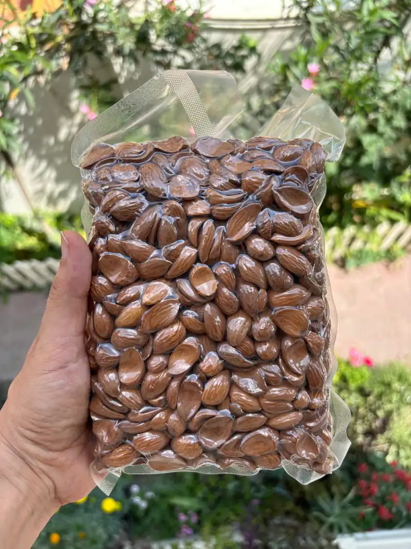 Kashmiri Mamra Almonds