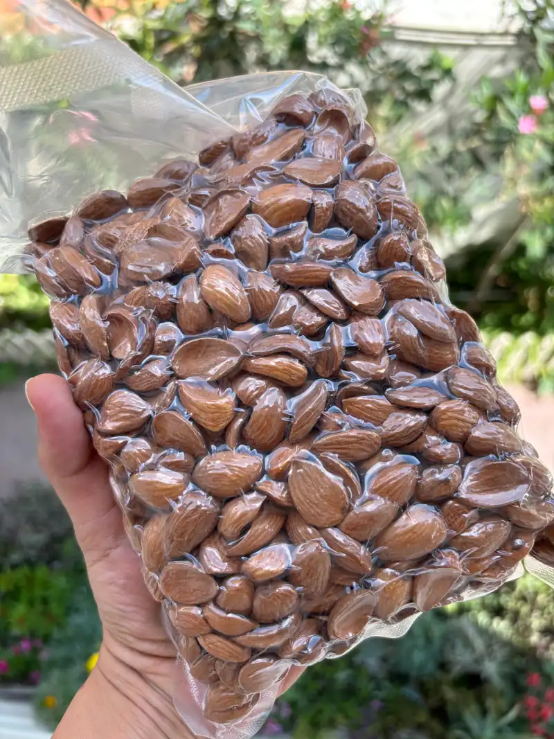 Kashmiri Mamra Almonds