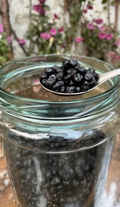 Dried Blueberries