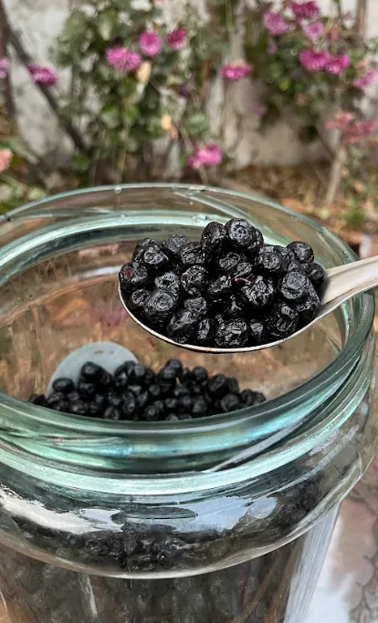 Dried Blueberries