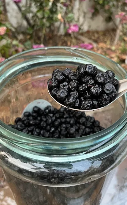 Dried Blueberries