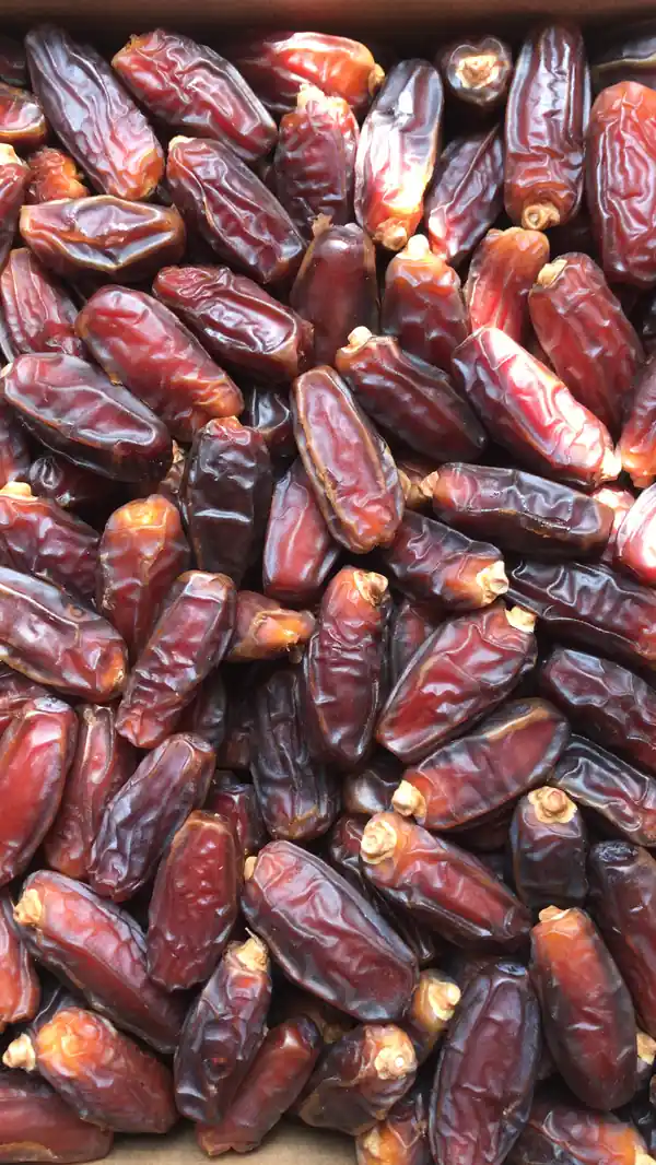 Mabroom Dates