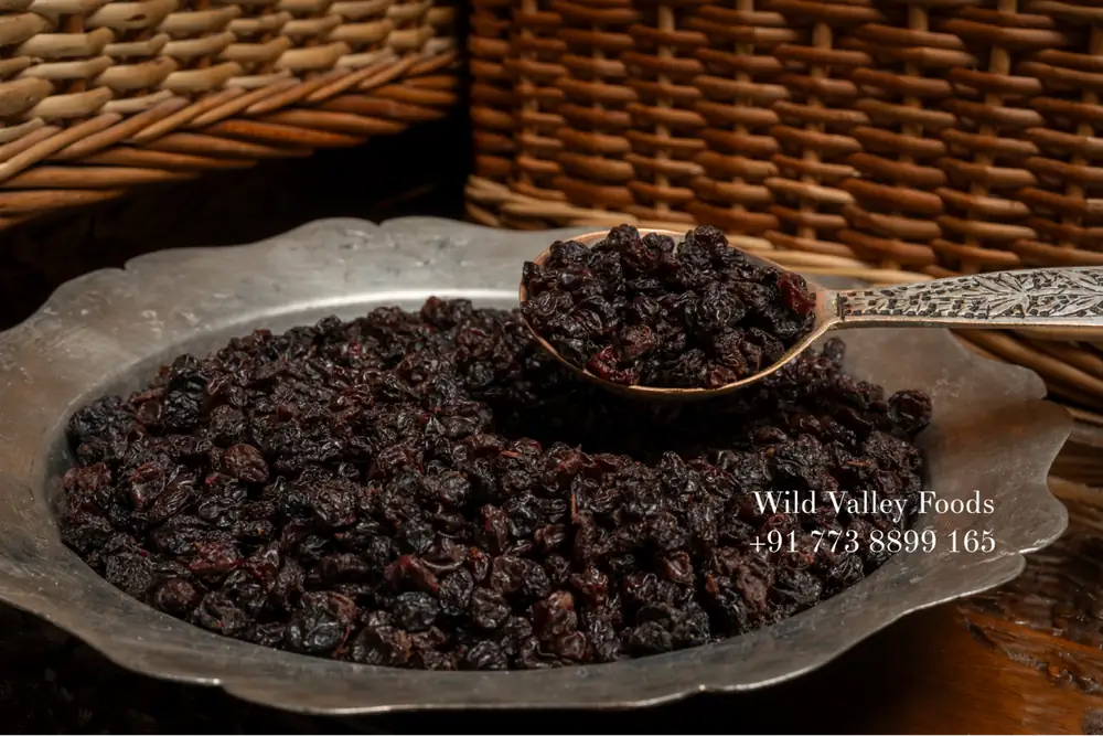 Dried Blackcurrants Zirish