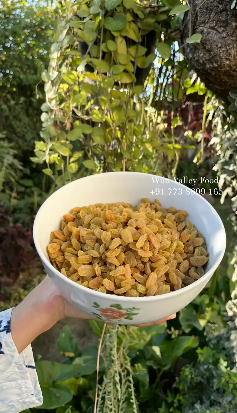 Kashmiri Golden Raisins