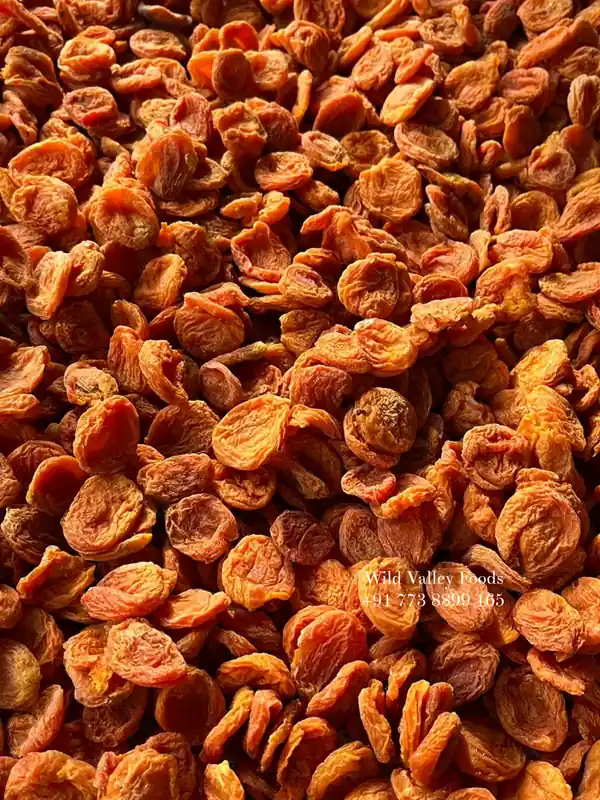 Dried Ladakhi Apricots (Seedless)