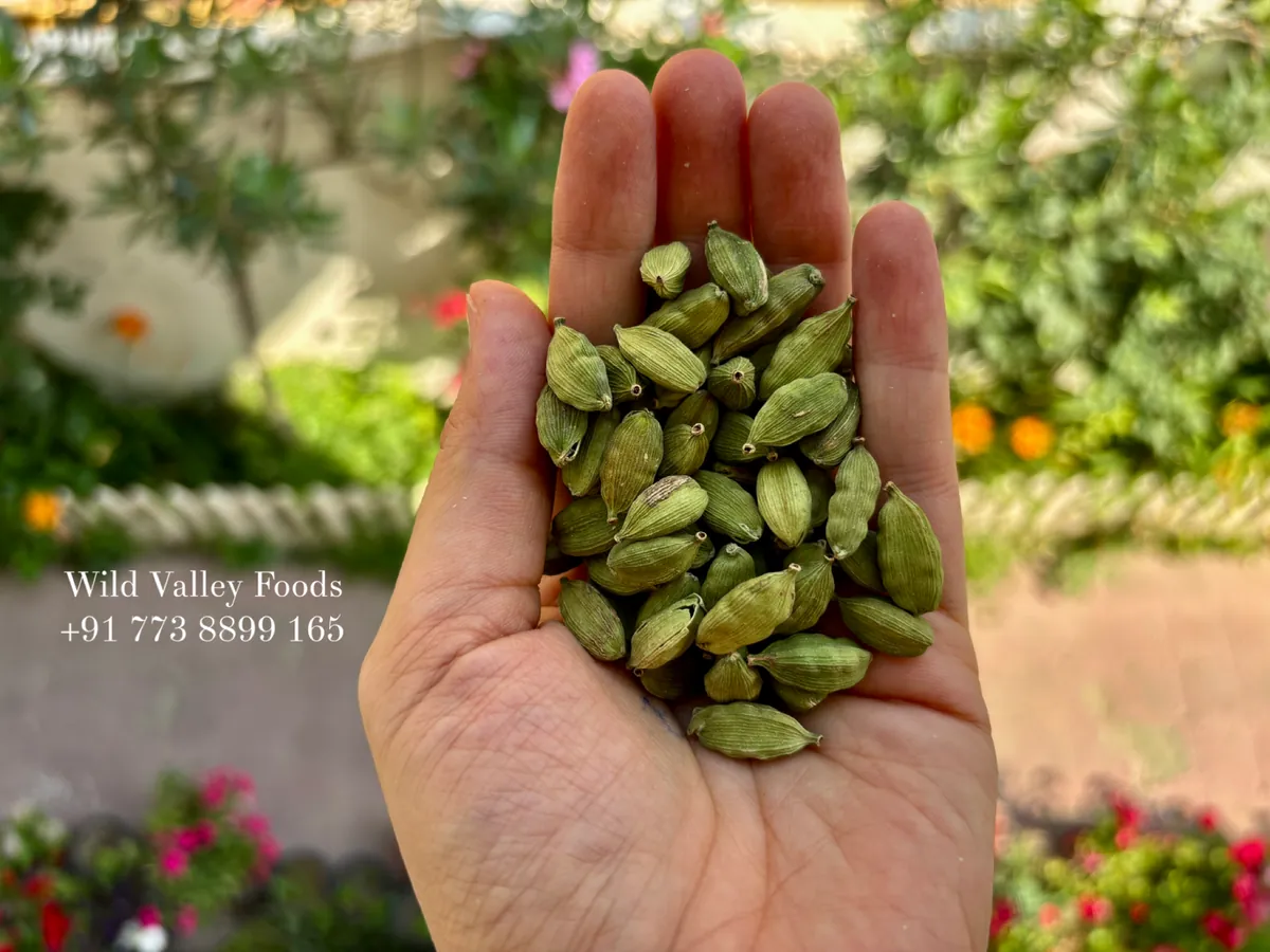 Green Cardamom