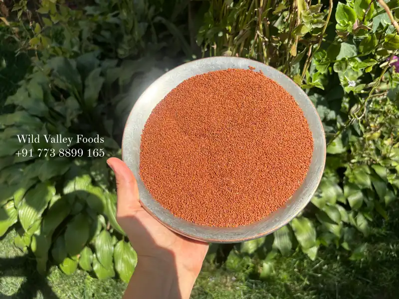 Halim Seeds (Garden-Cress Seeds)