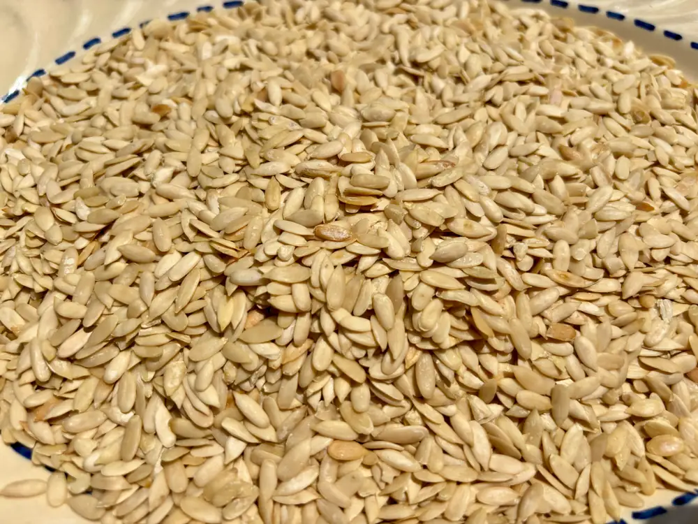Musk Melon Seeds